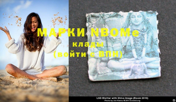 стаф Бородино