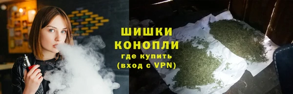 стаф Бородино