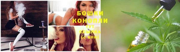 стаф Бородино