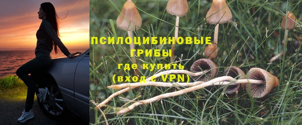 стаф Бородино