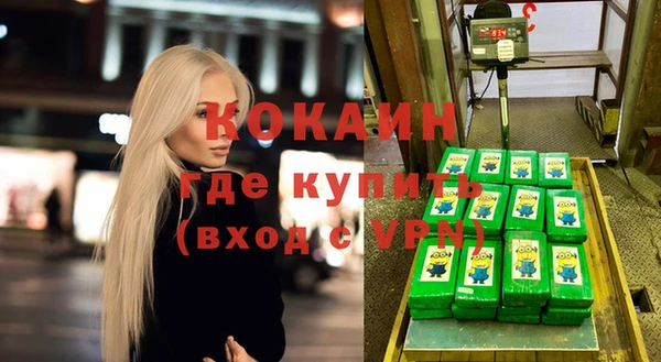 стаф Бородино