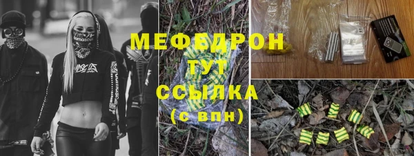 стаф Бородино