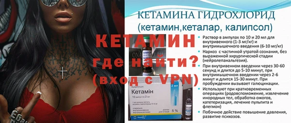стаф Бородино